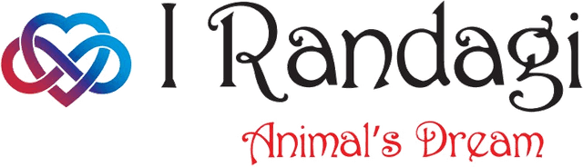 I Randagi Animal's Dream